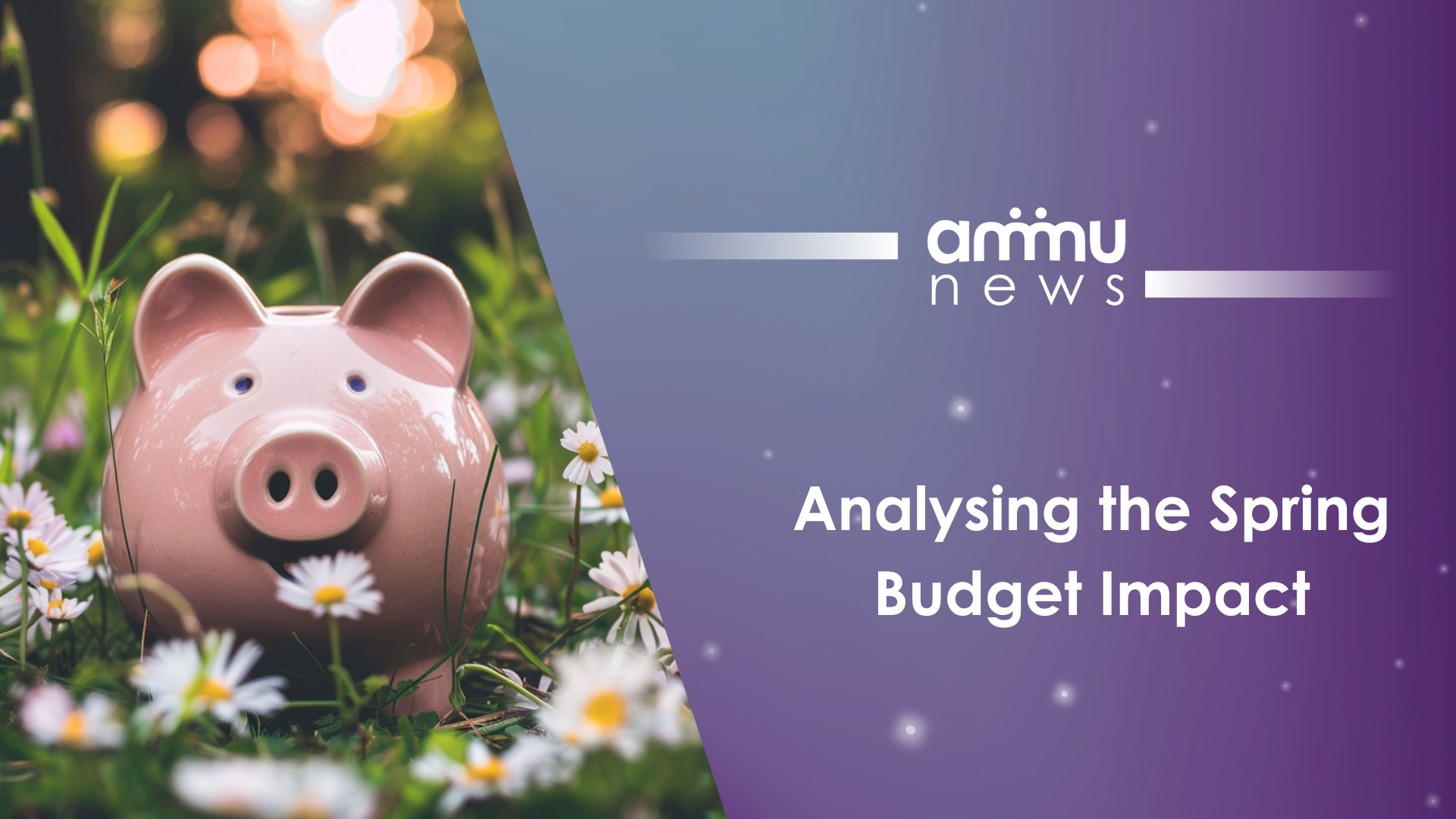Analysing the Spring Budget Impact: