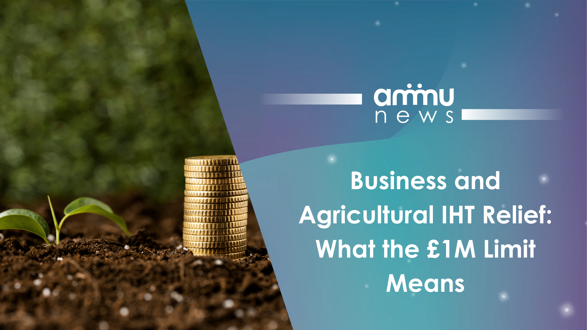 Business and Agricultural IHT Relief: What the £1M Limit Means