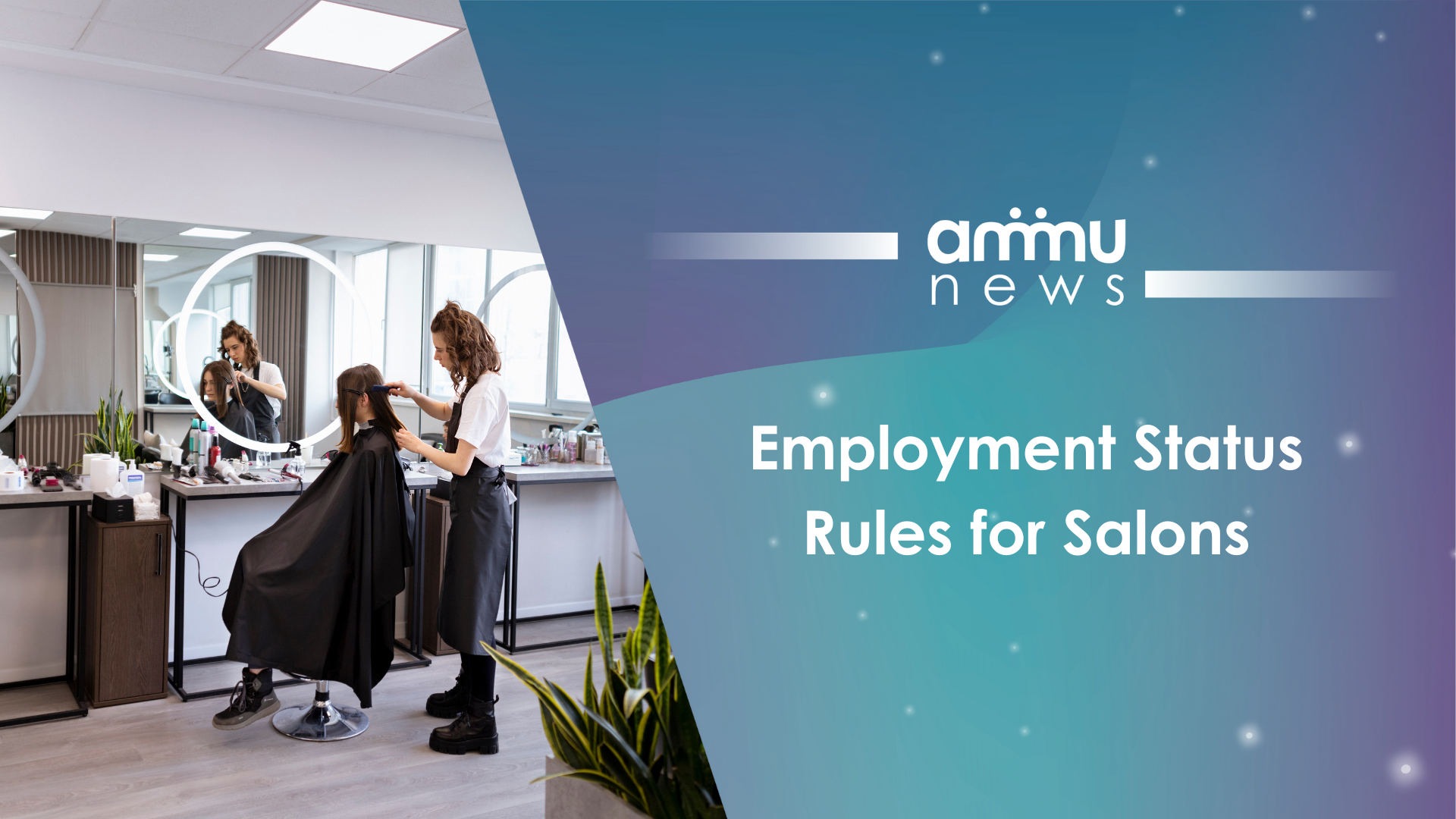 Employment Status Rules for Salons